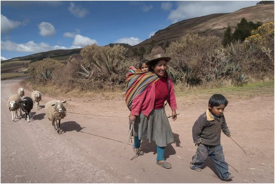 Peru 1009